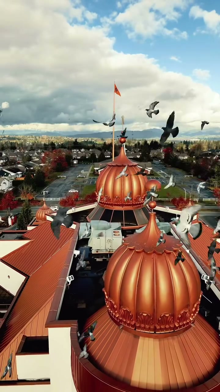 Aerial view of a gurdwara with birds in flight, Inspire Pro Films event film