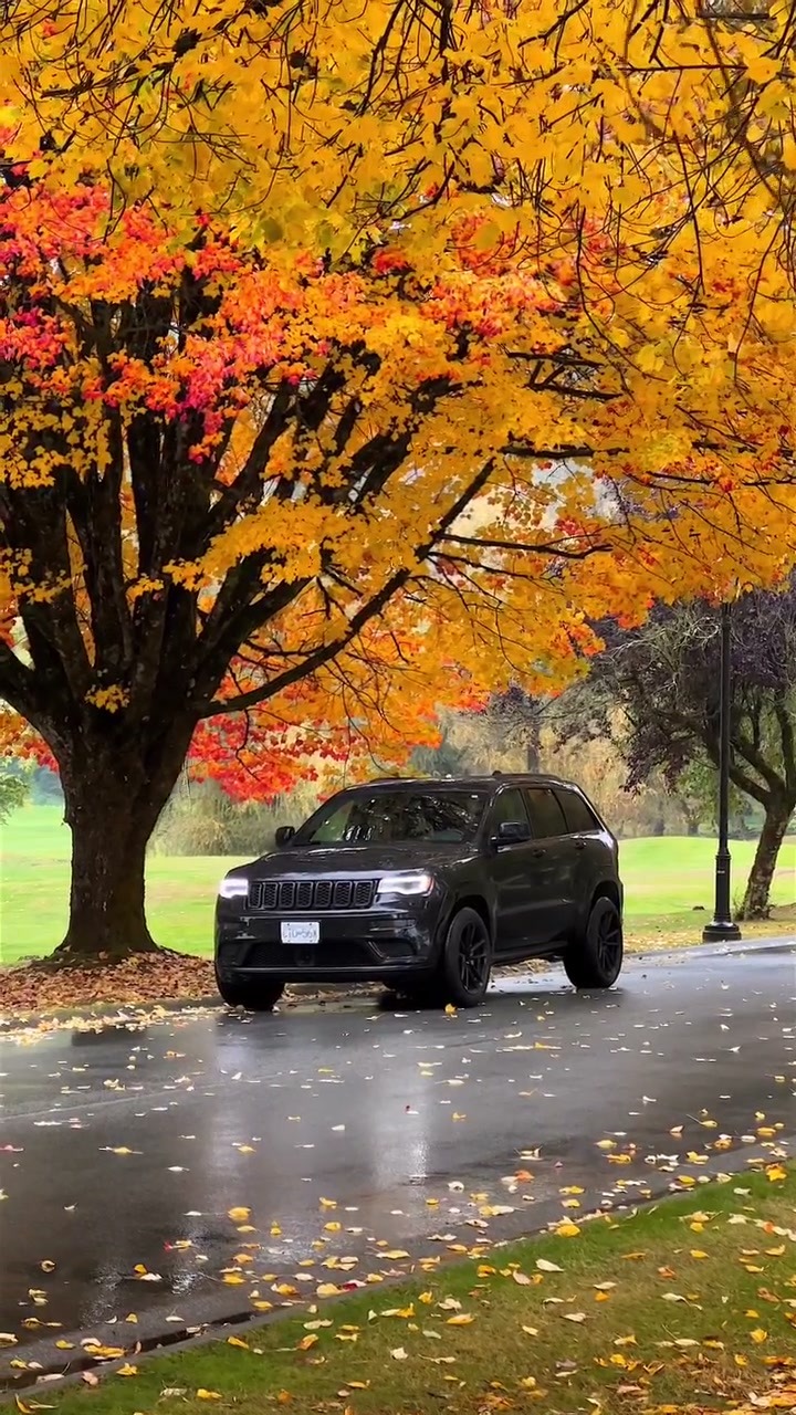 Jeep Grand Cherokee Autumn Drive Film, Vancouver, commercial video production near Fairview